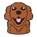 Budz Retriever
